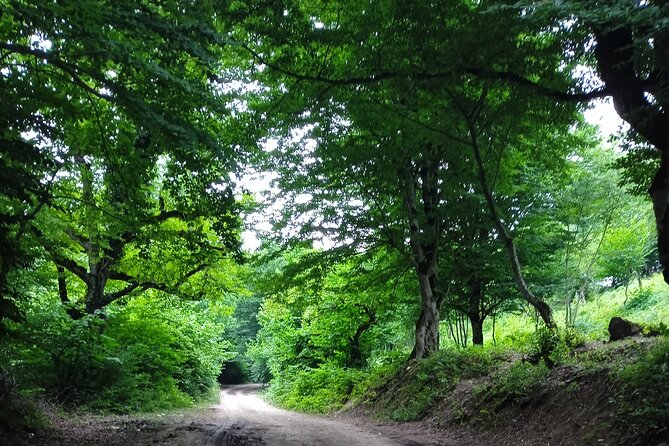 2 nights 3 days Gabala tour from Baku - Nohur Lake and its mountain setting
