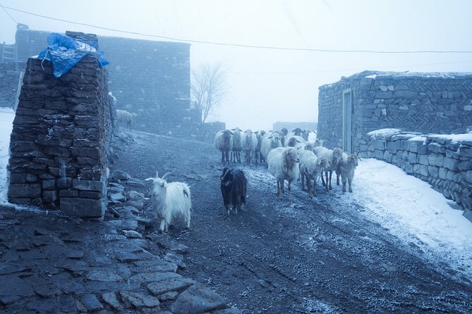 3-Day Hiking & Trekking Tour Remote Villages in Guba Azerbaijan - Why this Guba trek is worth your time