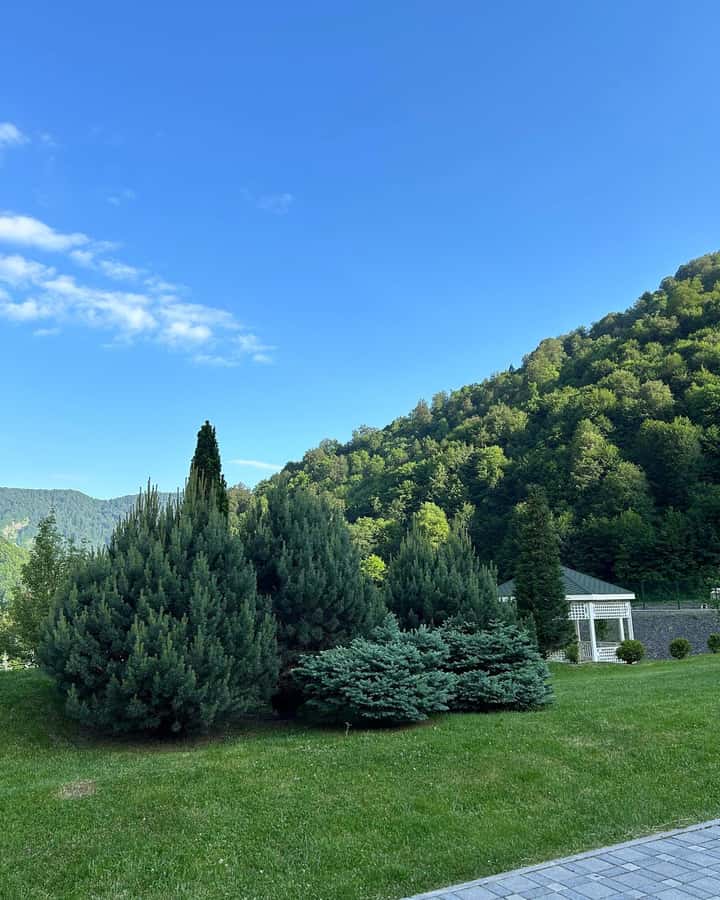 Baku-Gabala-Shamakhi-Tufandag -Nohur lake - Lavender fields - What about the lavender fields?
