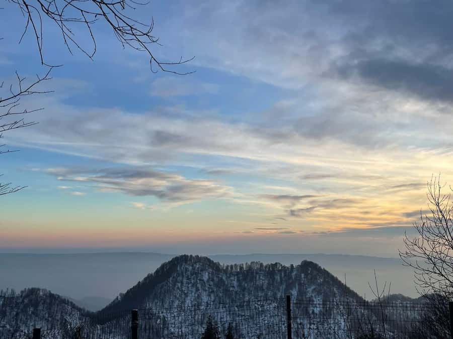 Baku-Gabala-Shamakhi-Tufandag -Nohur lake - Lavender fields - The vehicle, guides and group atmosphere
