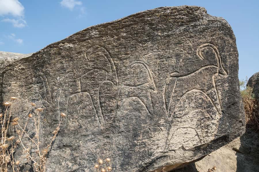Baku: Gobustan, Mud Volcanoes & Absheron (Group or Private) - The mud volcanoes and the roughest ride of the day