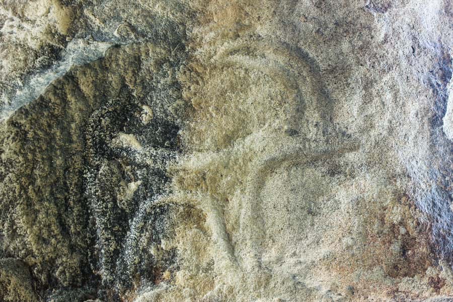 Baku: Gobustan, Mud Volcanoes, Ateshgah, and Yanardag Tour - Is $99 per person good value?