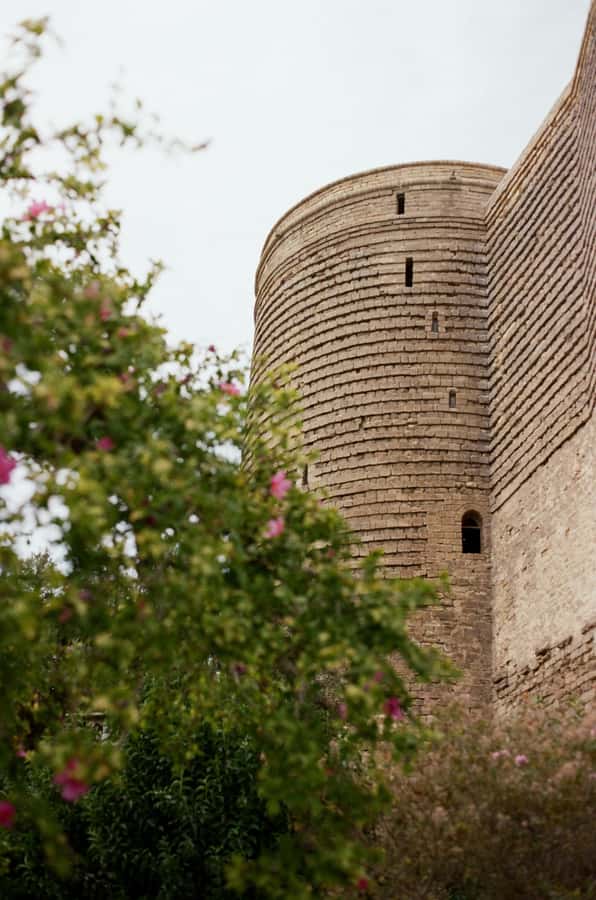 Baku Old City Wonders: A Walking Tour Through Time - The Miniature Book Museum’s tiny surprise