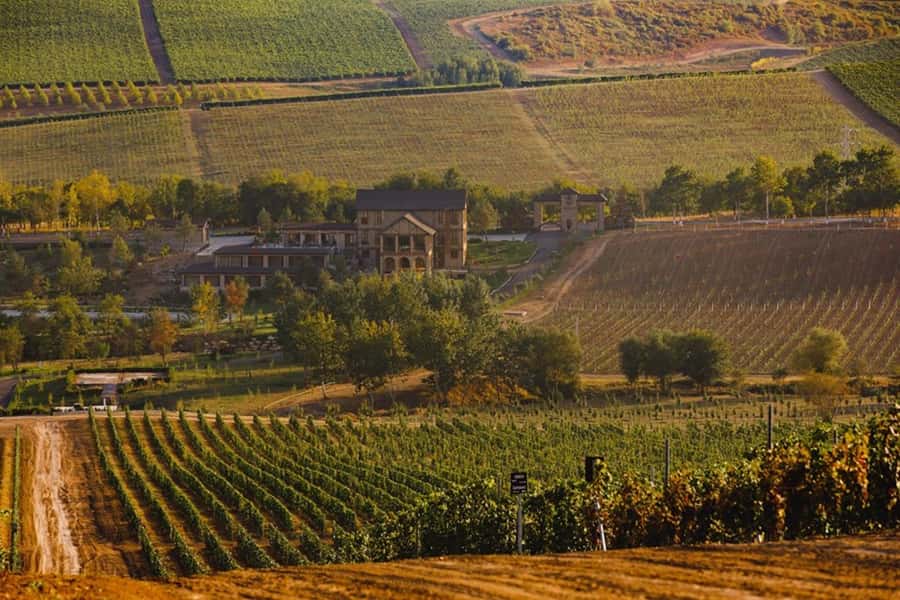 Baku: Organic Winery Tour in Shamakhi with Local Lunch - Walking through the vineyard