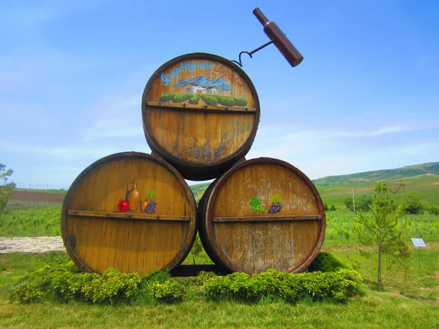 Baku: Organic Winery Tour in Shamakhi with Local Lunch - Practical advice before you book