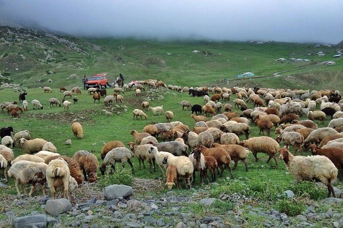Day Trip to Khinalug, Guba - Who will enjoy this private mountain day