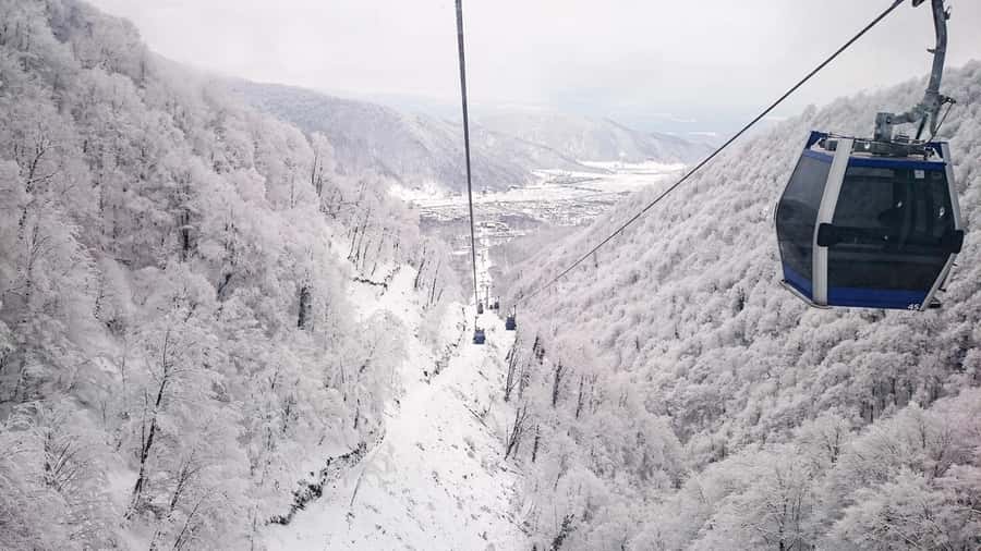 From Baku: Gabala and Shamakhi Nature Tour - Riding the Tufandagh Cable Car