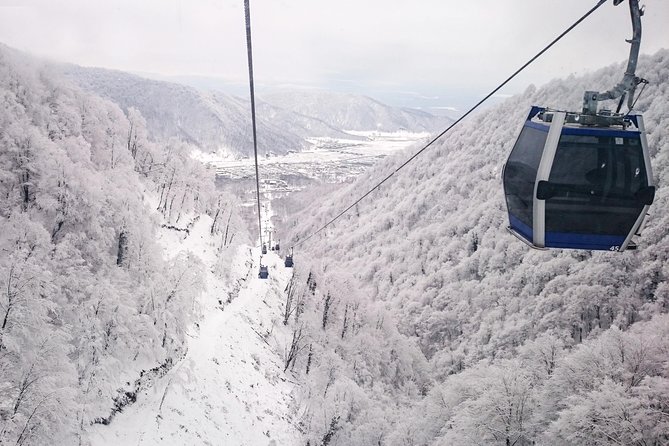 From Baku: Gabala Day Trip - Key points at a glance
