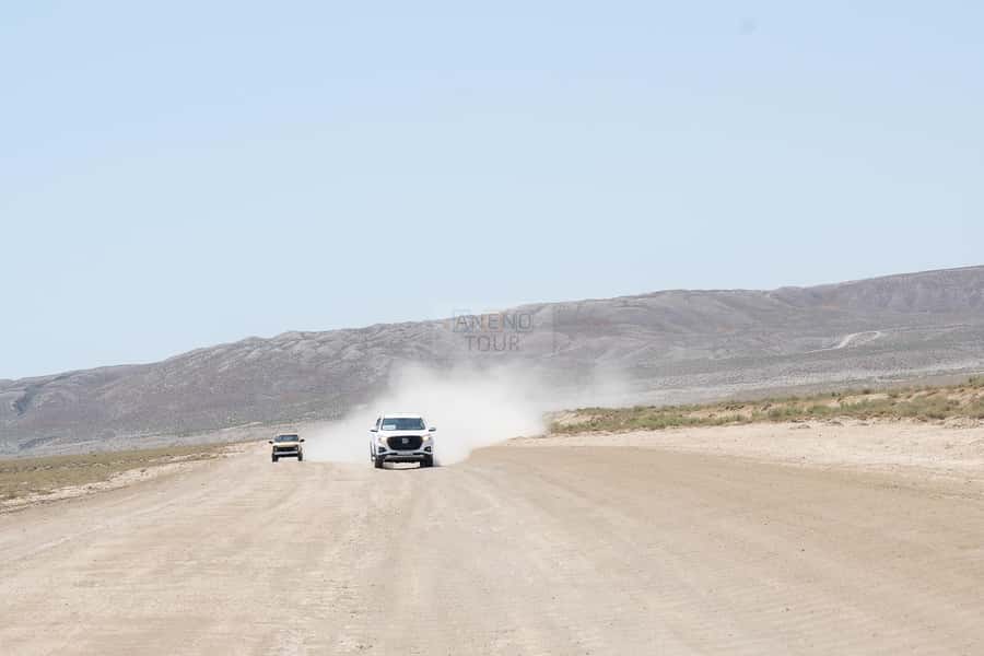 From Baku: Gobustan 4x4 Private Tour - Private - Who will enjoy this Gobustan outing most