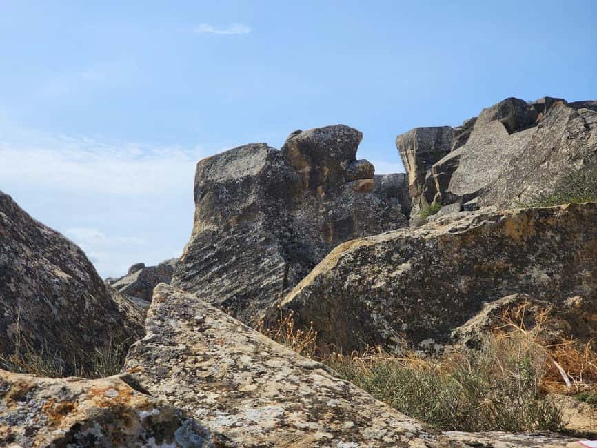 From Baku: Gobustan Rock Art and Mud Volcanoes Tour - What the guide adds to the day