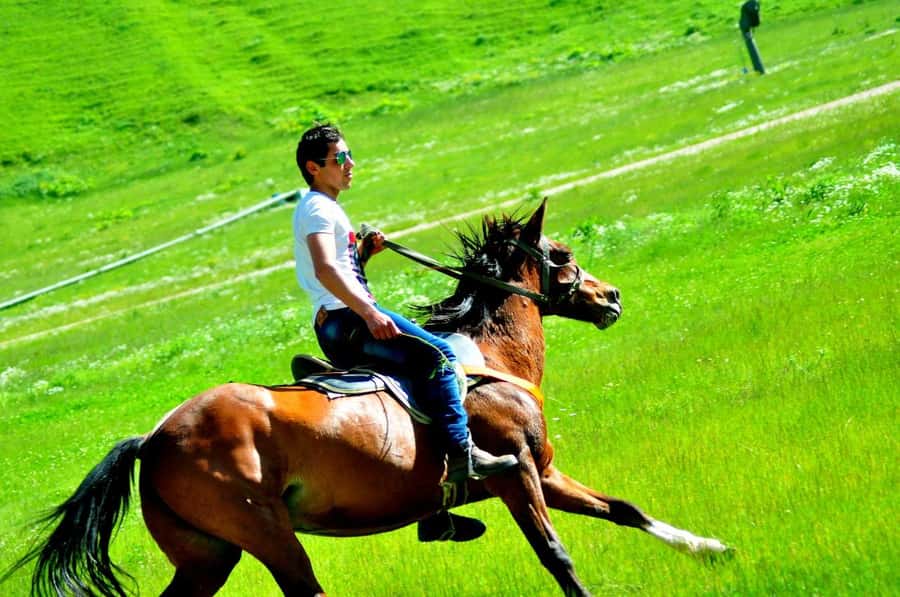 From Baku: Shahdag Mountain Resort Day Trip - The main drawbacks to consider