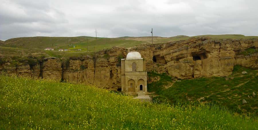 From Baku: Shamakhi City and Alpaca Farm Tour - Meeting the alpacas at Alpaca Azerbaijan