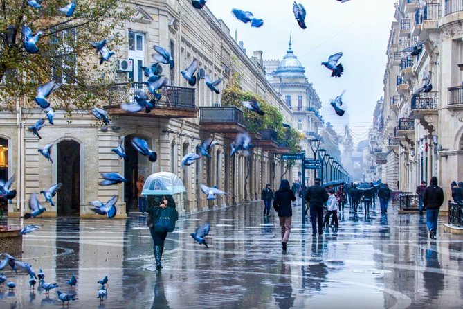 Full-day Private Baku City Tour - What the $120 private tour really buys you