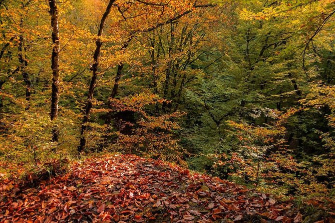 Gabala tour Azerbaijan - Is $90 good value for this Gabala tour?