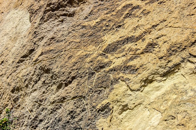 Gobustan and Mud volcanoe GROUP TOUR - Who should book this half-day tour