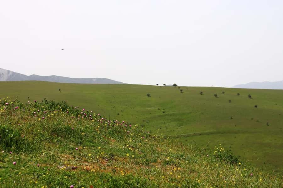 Half Day Candy Cane Mountains and Beshbarmag Private Tour - FAQ
