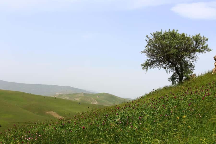 Half Day Candy Cane Mountains and Beshbarmag Private Tour - Who will enjoy this Azerbaijan day trip?