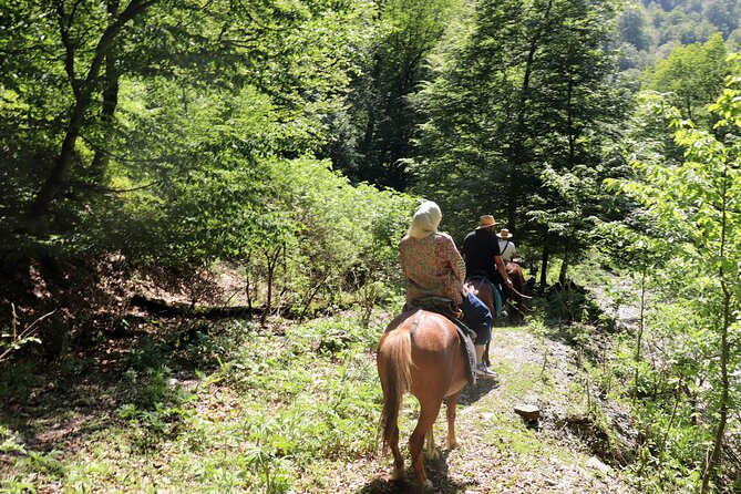 Horseback Riding in Azerbaijan - Mountain water and the first herbal tea