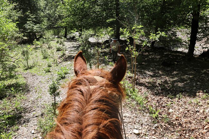 Horseback Riding in Azerbaijan - The return through a mountain village