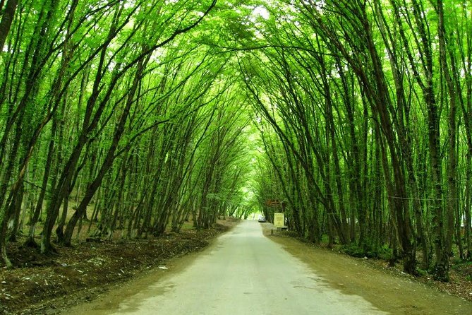Khinalig Tour - Why Khinalig makes such a strong day trip from Baku