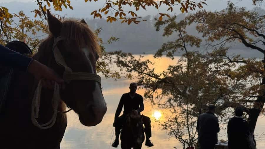 Longevity Secrets of Azerbaijan: Lankaran & Astara tour - Why Lankaran makes a good break from Baku