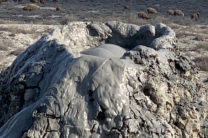 Mud Volcanoes & Gobustan Private Tour - Who will get the most from this tour