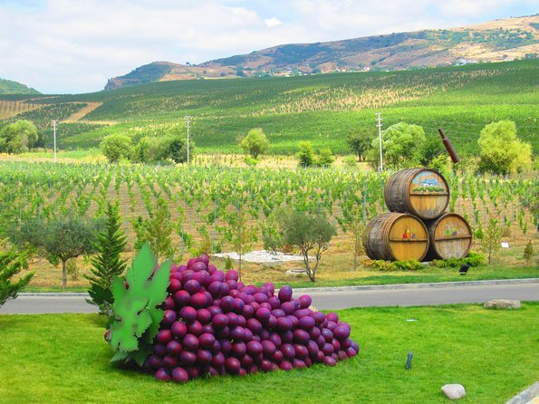 Organic Wine Tour Shamakhi with Local Lunch - Key points at a glance