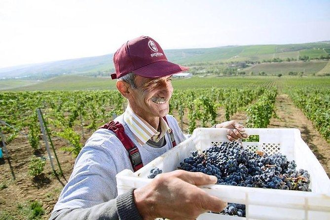 Organic Wine Tour Shamakhi with Local Lunch - How the $240 price works for different groups