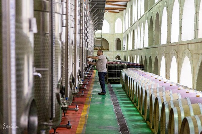 Pomegranate Wine Tour with Local Lunch - Returning to Baku by about 5:00 p.m.
