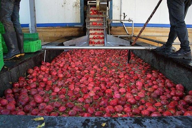 Pomegranate Wine Tour with Local Lunch - What the $195 price means