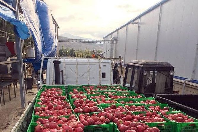 Pomegranate Wine Tour with Local Lunch - Who will enjoy this private wine day