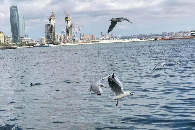 Private Baku City Tour - Flame Towers: a quick look at Baku’s modern symbol