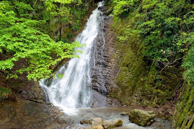 Private Gabala Tour - Why Gabala Makes a Good Day Trip From Baku
