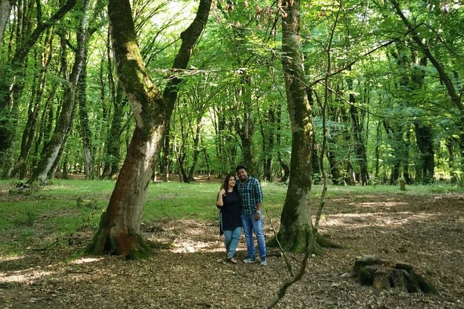 Private Gabala Tour (Full-Day Tour) - What the private car adds to this long route