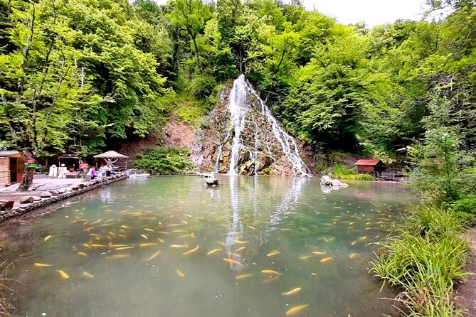 Private Gabala -Tufandag Day Trip in Nature - Nohur Lake, the quiet center of the day