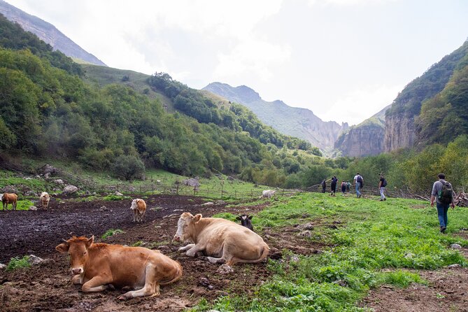 Private Hike through Magic Valley to Laza waterfalls - Laza at 1,800 meters is the day’s reward