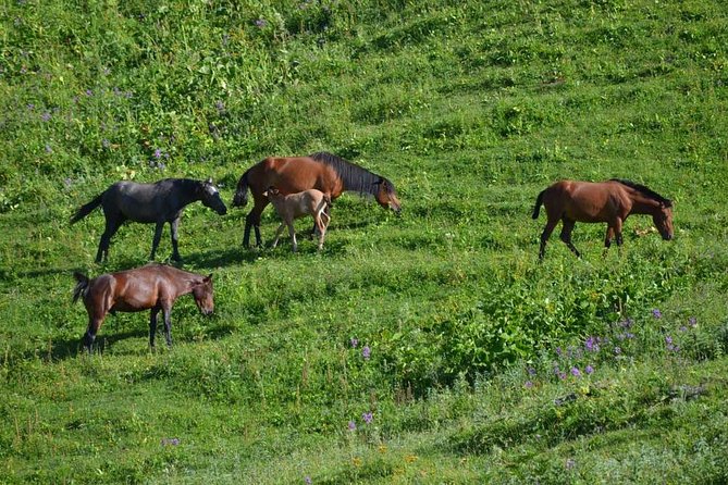 Relaxable and Knowledgeable 9 days Tour in Azerbaijan - The highlights that make this tour worthwhile