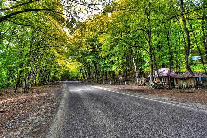 Shahdag Adventure Tour - What the private guide adds