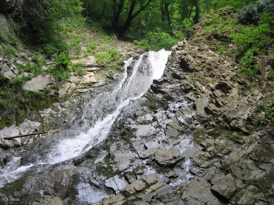 Shamakhi and Gabala Guided Day Tour - Starting in Baku and Heading Northwest