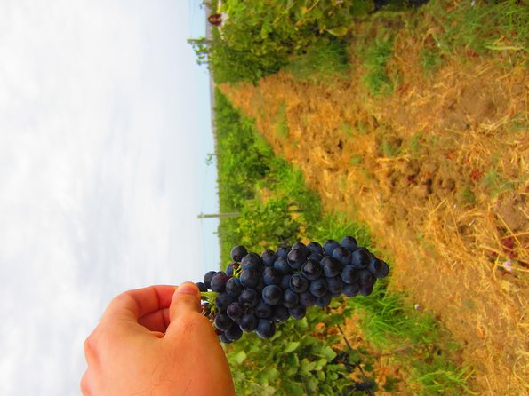Wine Tour Baku - Leaving Baku for the vineyards near Novxanı