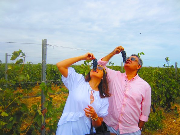 Wine Tour Baku - Six to eight wines, with enough food to stay comfortable