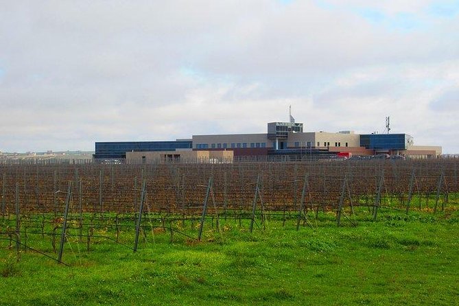 Wine Tour Baku - Who will enjoy this experience most?