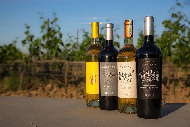 Wine Tour Baku - My take: should you book it?