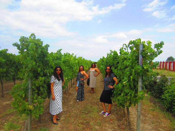 Wine Tour Qabala with Local Lunch - Is $225 per person a fair price?